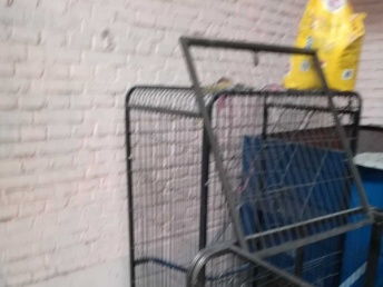 99成新貓用品優(yōu)惠出售，附北京寵物食品選購(gòu)指南