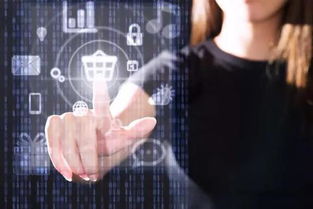 中小學(xué)人工智能課程設(shè)置 推廣編程教育，開發(fā)應(yīng)用軟件，培育未來(lái)創(chuàng)新人才